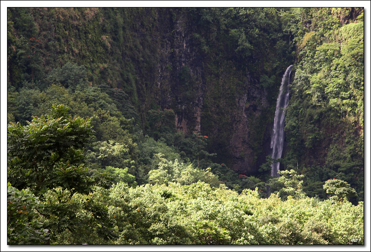 40D11077 cs cadre2.jpg - Tahiti - Vallée de la Papenoo